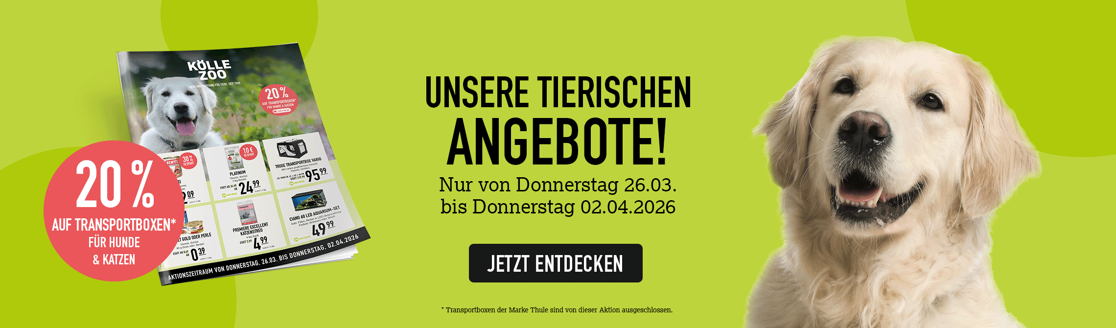 Lindgrünes Banner mit hellem Golden Retriever, Prospektabbildung, roter Button "20 % auf Transportboxen"
