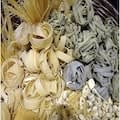 pasta logo alt