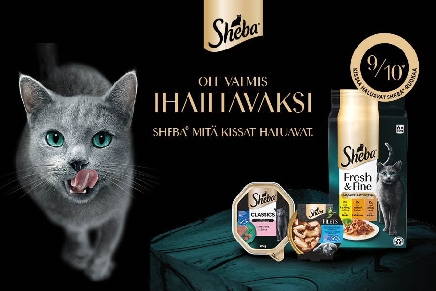 Mars Petcare hero image