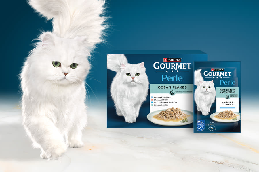 Nestle Purina hero image