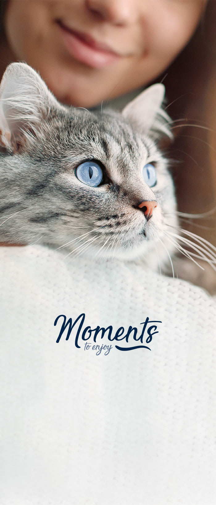 Moments Katzenfutter für Dein Tier – KI-generiert