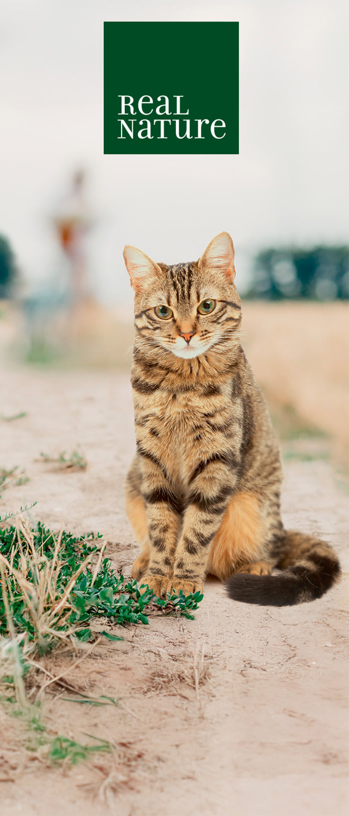 REAL NATURE Katzenfutter – KI-generiert
