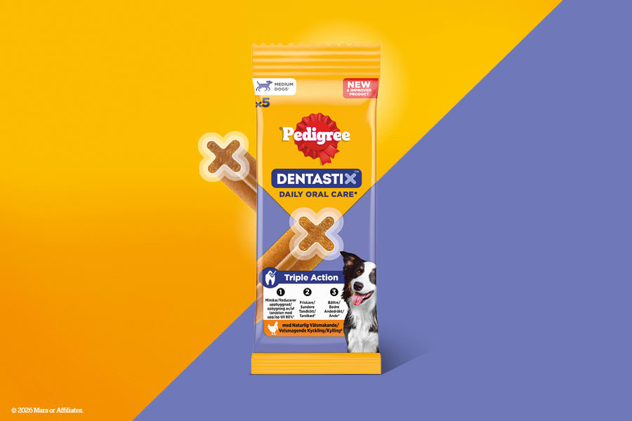 Mars Petcare Pedigree hero image