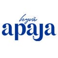Hyvä Apaja logo