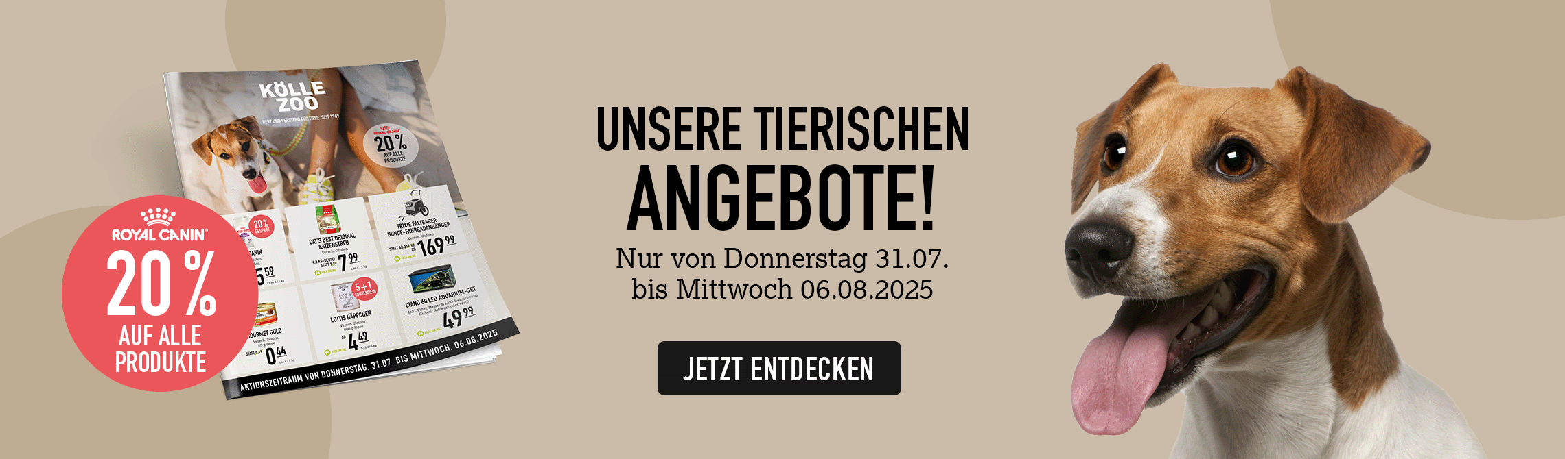 Schwarze Schrift auf braunem Hintergrund, links Titelseite des Prospekts, rechts Kopf eines Jack Russell Terriers