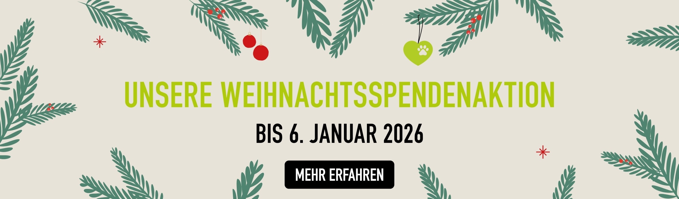 Weihnachtsspendenaktion bis 06.01.26 weihnachtlicher Rahmen