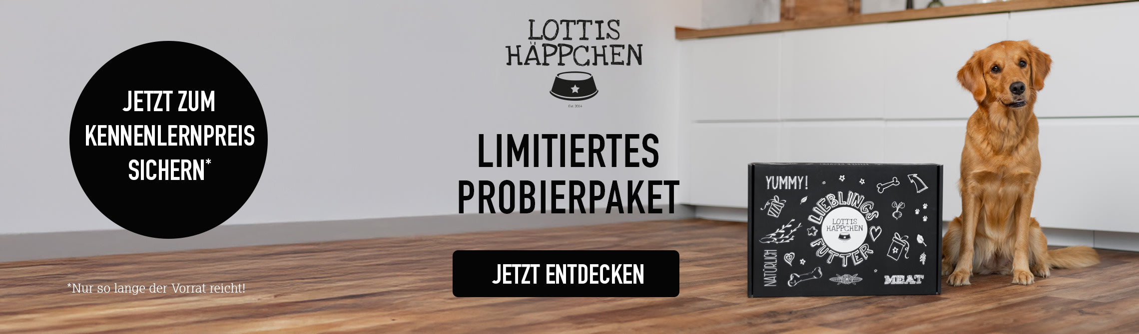 Neue Lottis Häppchen Probierboxen jetzt erhältlich. Heller Hund sitzt neben Box