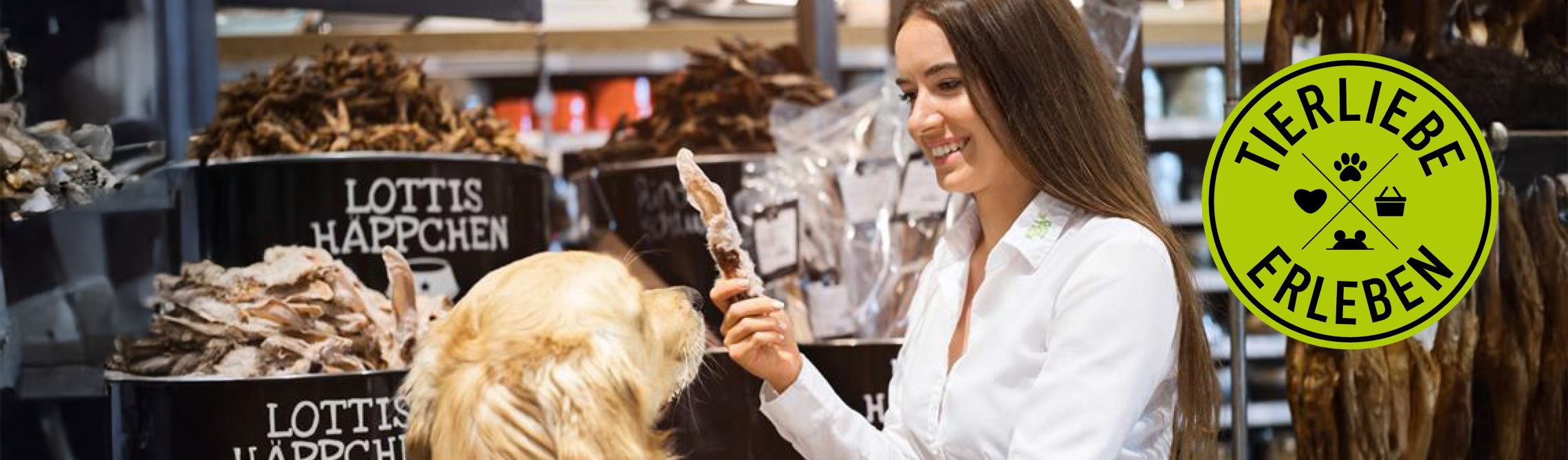 Frau gibt Golden Retriever Hund einen Snack in der Filiale