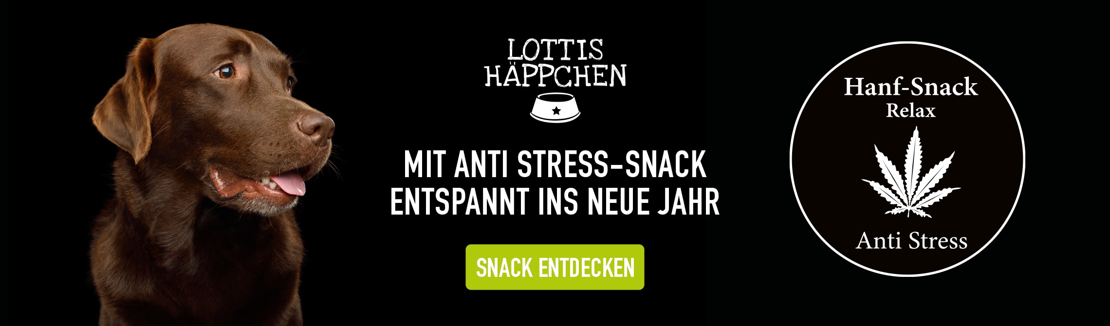 Brauner Labrador auf schwarzem Hintergrund, Lottis Häppchen Logo, grüner Button "Snack entdecken", Hanf-Icon Hanf Snack Relax