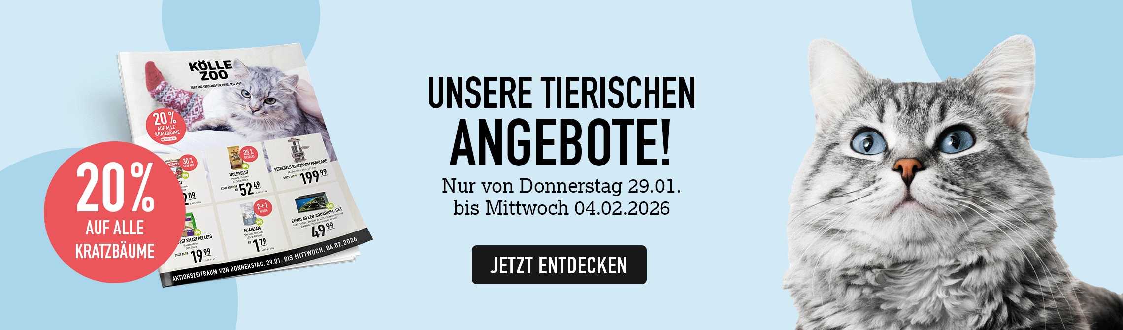 Blauer Hintergrund, Prospekt vom 29.01.-04.02.2026, Button "Jetzt Entdecken", 20 % auf alle Kratzbäume