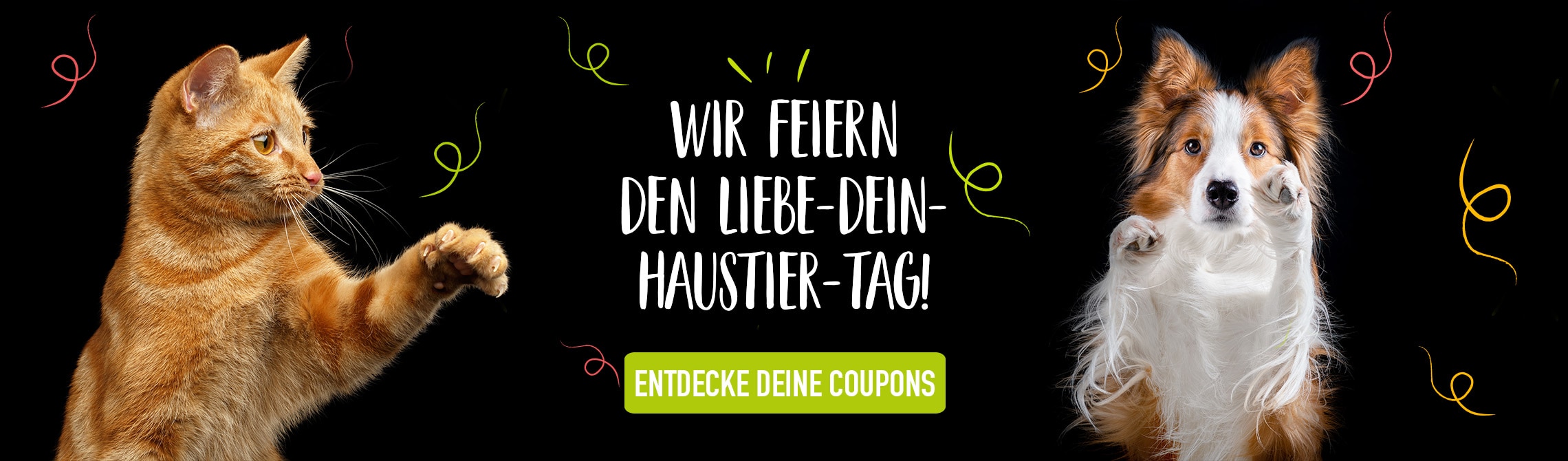 Hund & Katze auf schwarzem Hintergrund feiern inkl. Coupon-Link