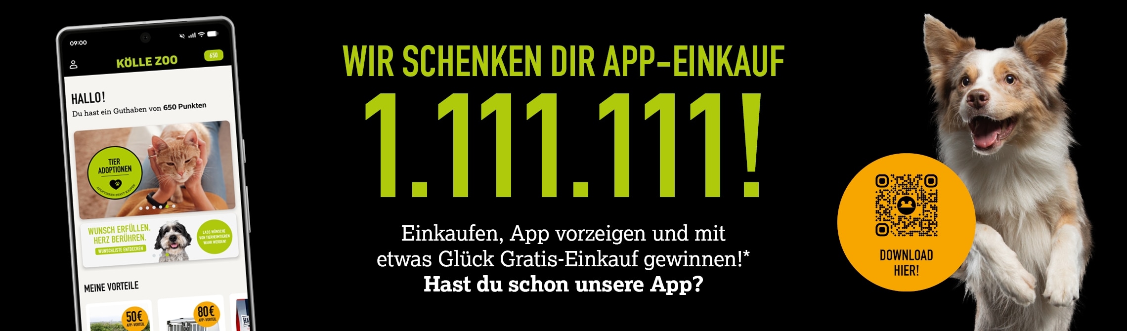 Hund auf schwarzem Hintergrund springt vor Freude