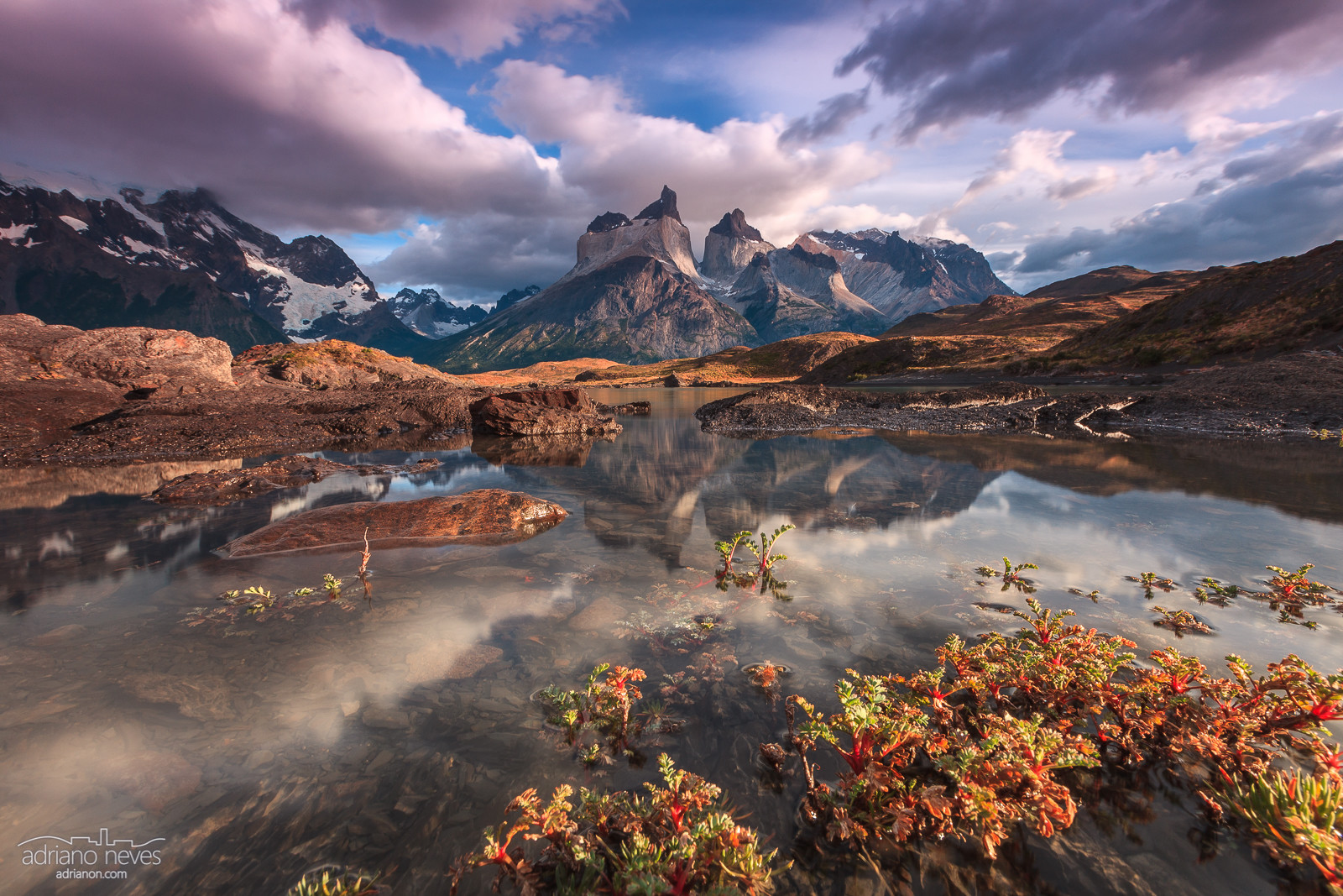 Eden's Garden Cuernos del Paine mountains - Torres del Paine - Travel Photography / Fotografia de Viagem - © Adriano Neves - acseven