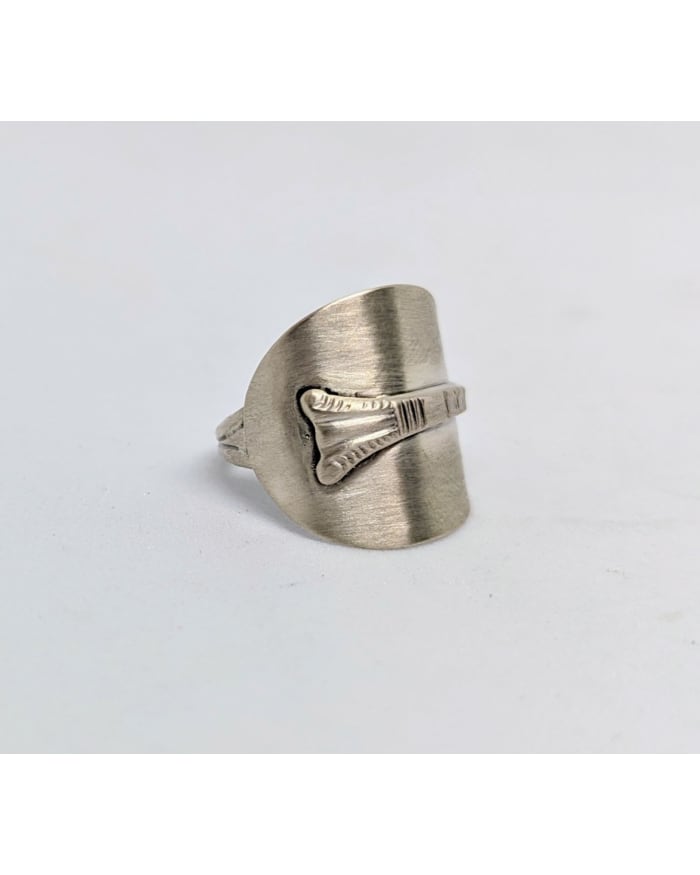 a silver ring with a design on it