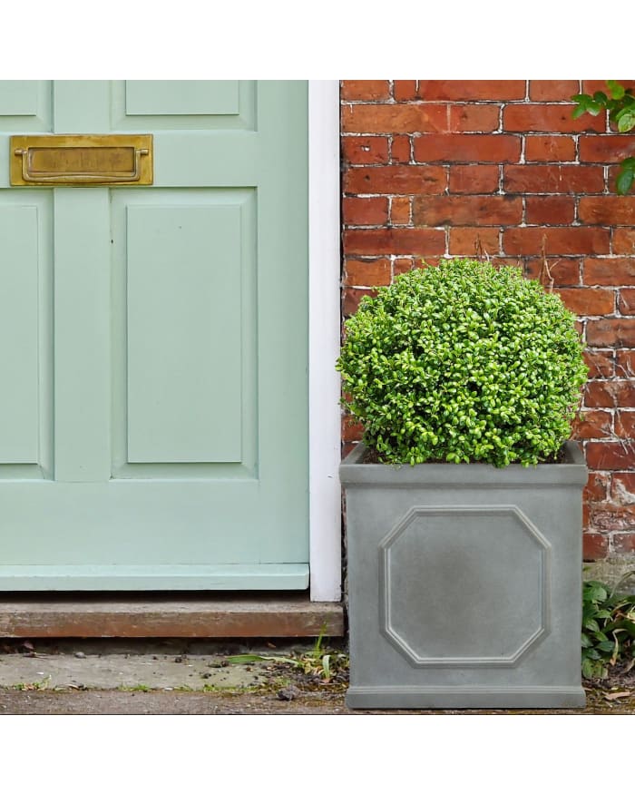 a planter with a bush in front of a door