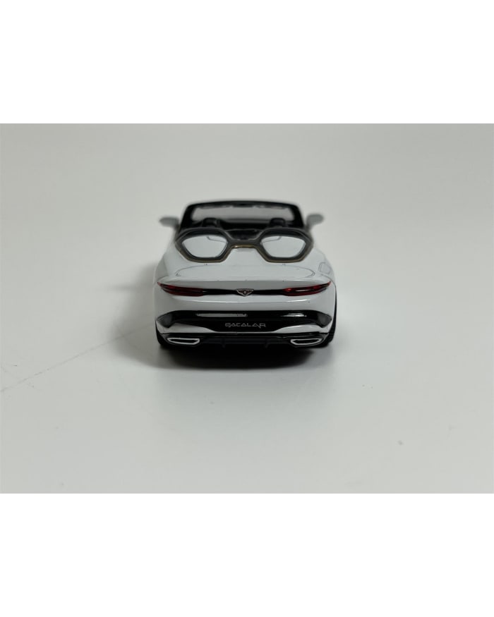 a white toy car with sunglasses on the back