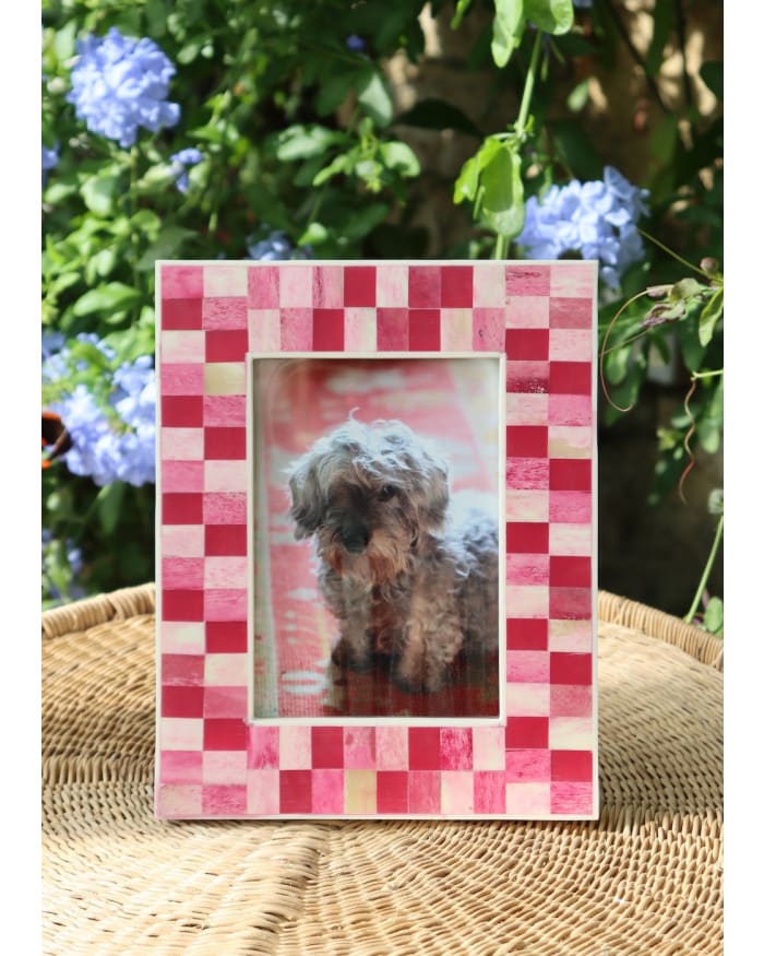 a picture frame with a dog in it