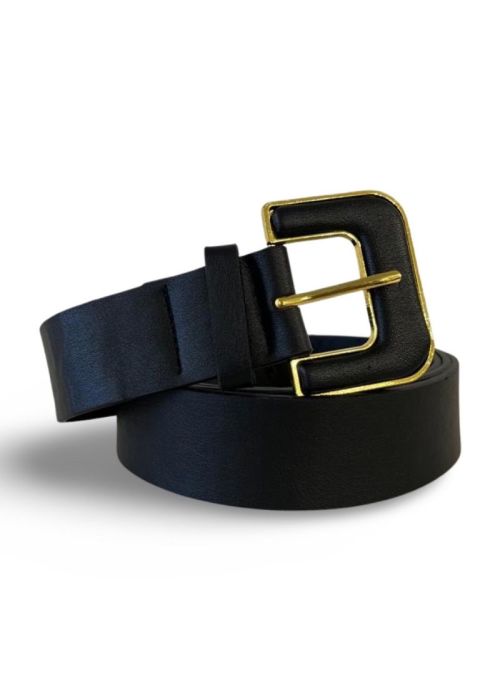 a black belt with a gold buckle