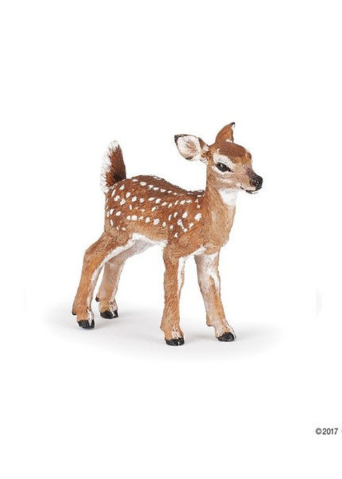 a small brown and white deer