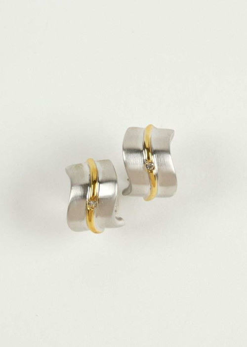 a pair of earrings with a gold band