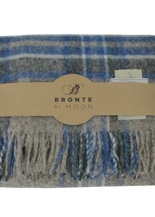 a blue and grey plaid blanket