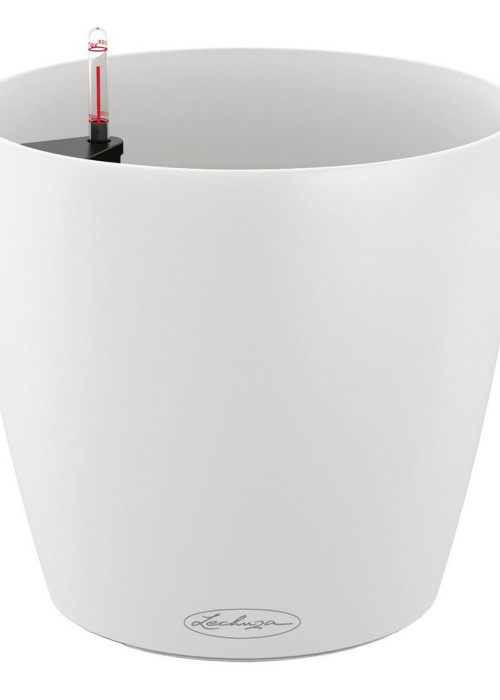 a white pot with a red object in it