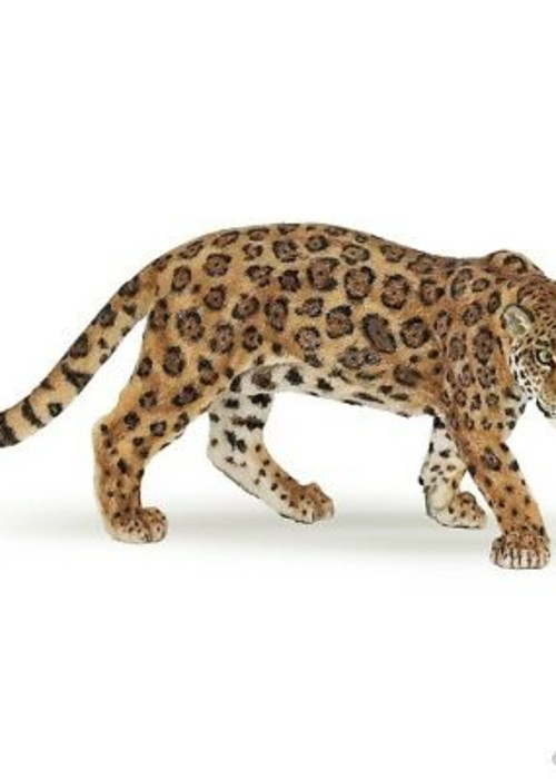 a large leopard with black spots