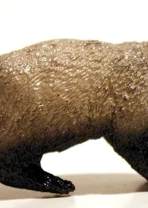 a close-up of a toy animal