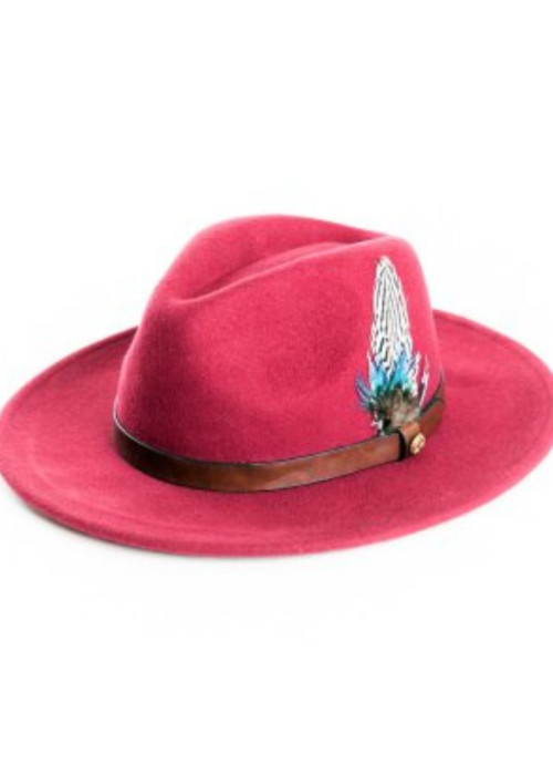 a red hat with a feather on it