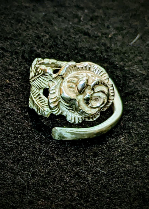 a metal lion head on a black surface