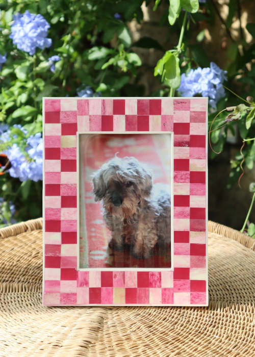 a picture frame with a dog in it