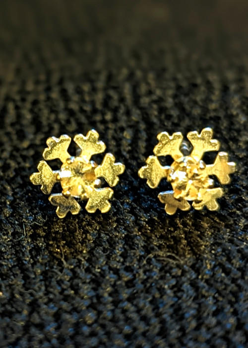 a pair of gold earrings