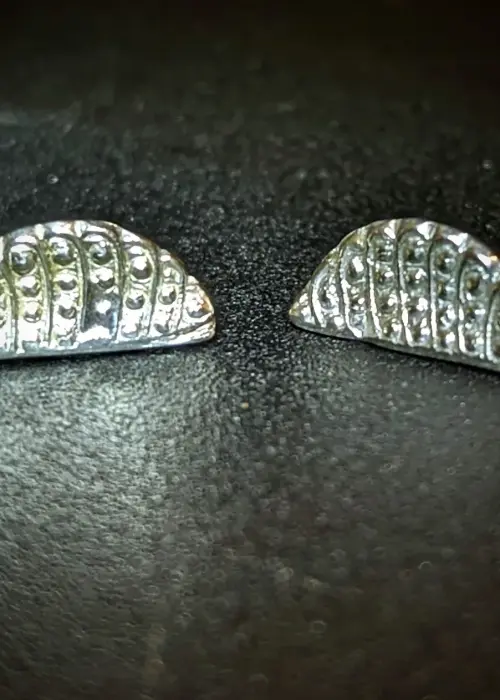 a pair of silver earrings