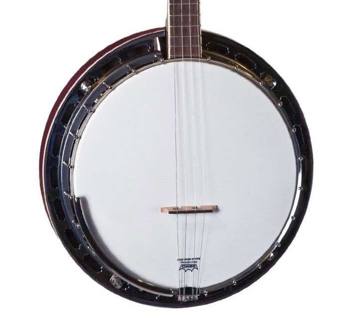 Rover RB-20p Plectrum Banjo