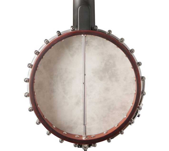 Open Back Washburn B6