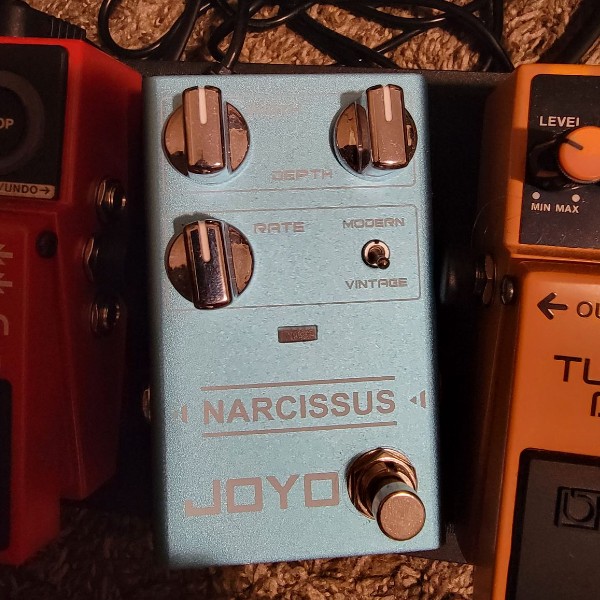 Joyo Narcissus