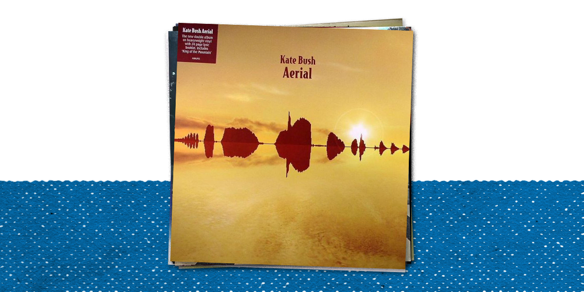 The 5 Best Kate Bush Albums According To Reverb S Resident
