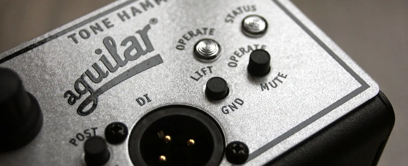 Portable Bass Amp Head Buying Guide Reverb