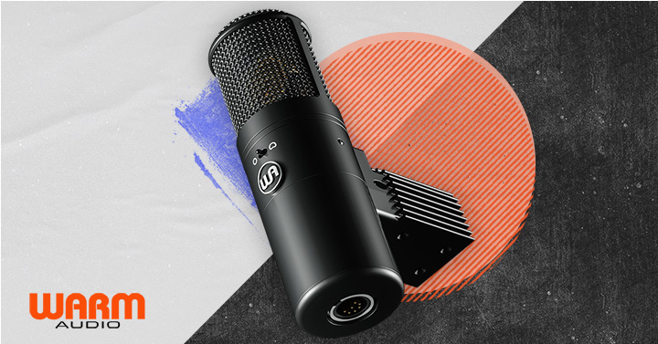 Amazon.com: Warm Audio WA-8000 Large-Diaphragm Tube