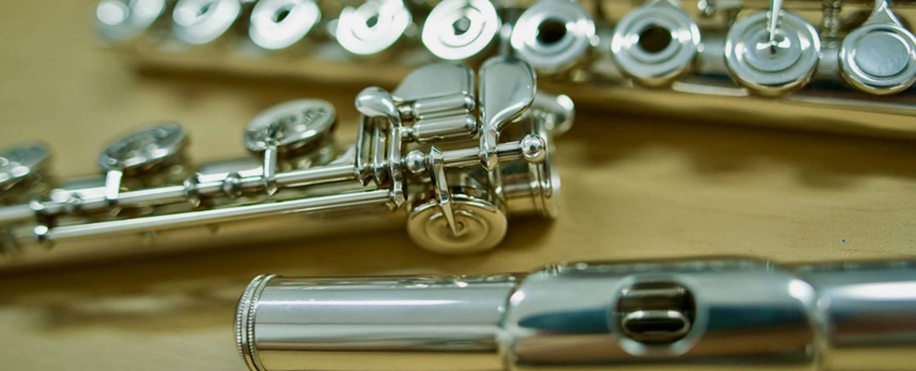 Buying Guide How to Choose the Best Flute Reverb