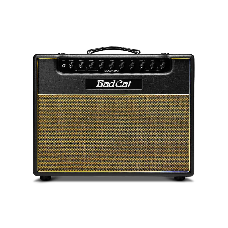 The rebirth of bad cat amplifiers reverb news