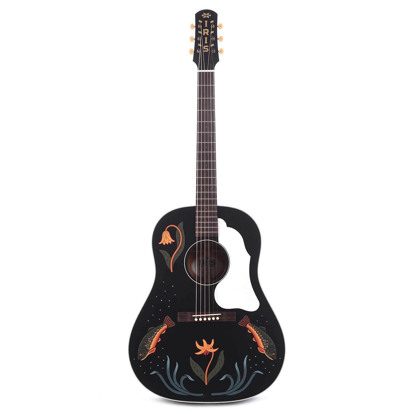 Iris Limited Edition DF Dreadnought Black Hand Painted by Sarah Ryan