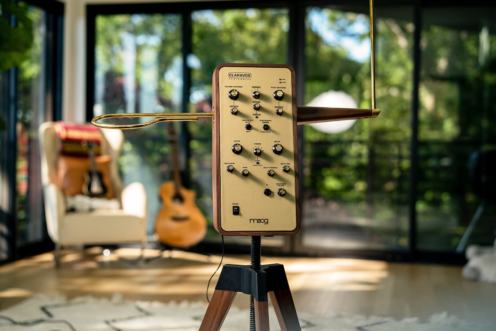 taylor GS mini