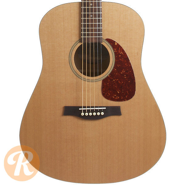 5 Best Acoustic Guitars for Beginners