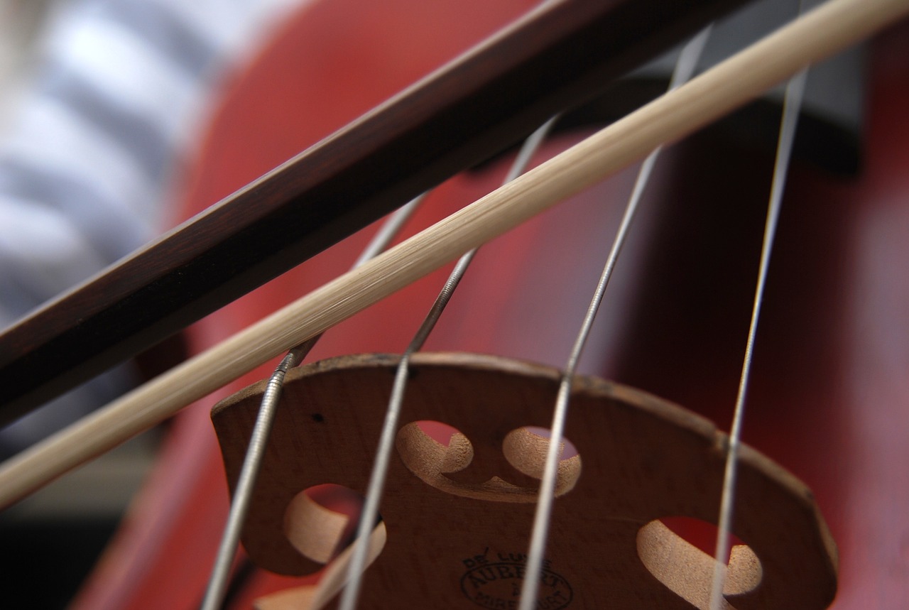 Steel core strings on a cello.