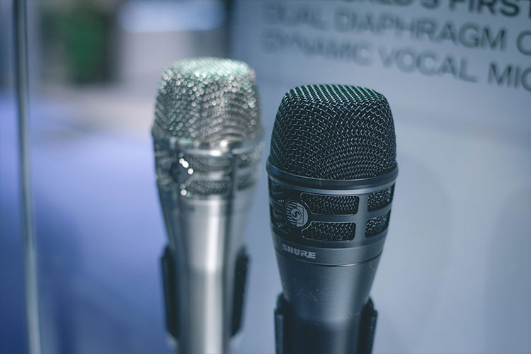 Shure KSM8 Dualdyne microphone