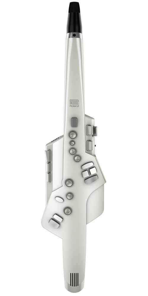Roland Aerophone AE-10