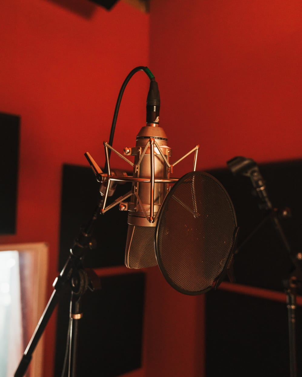 The Red Room's Neumann U 87 Ai vocal mic.