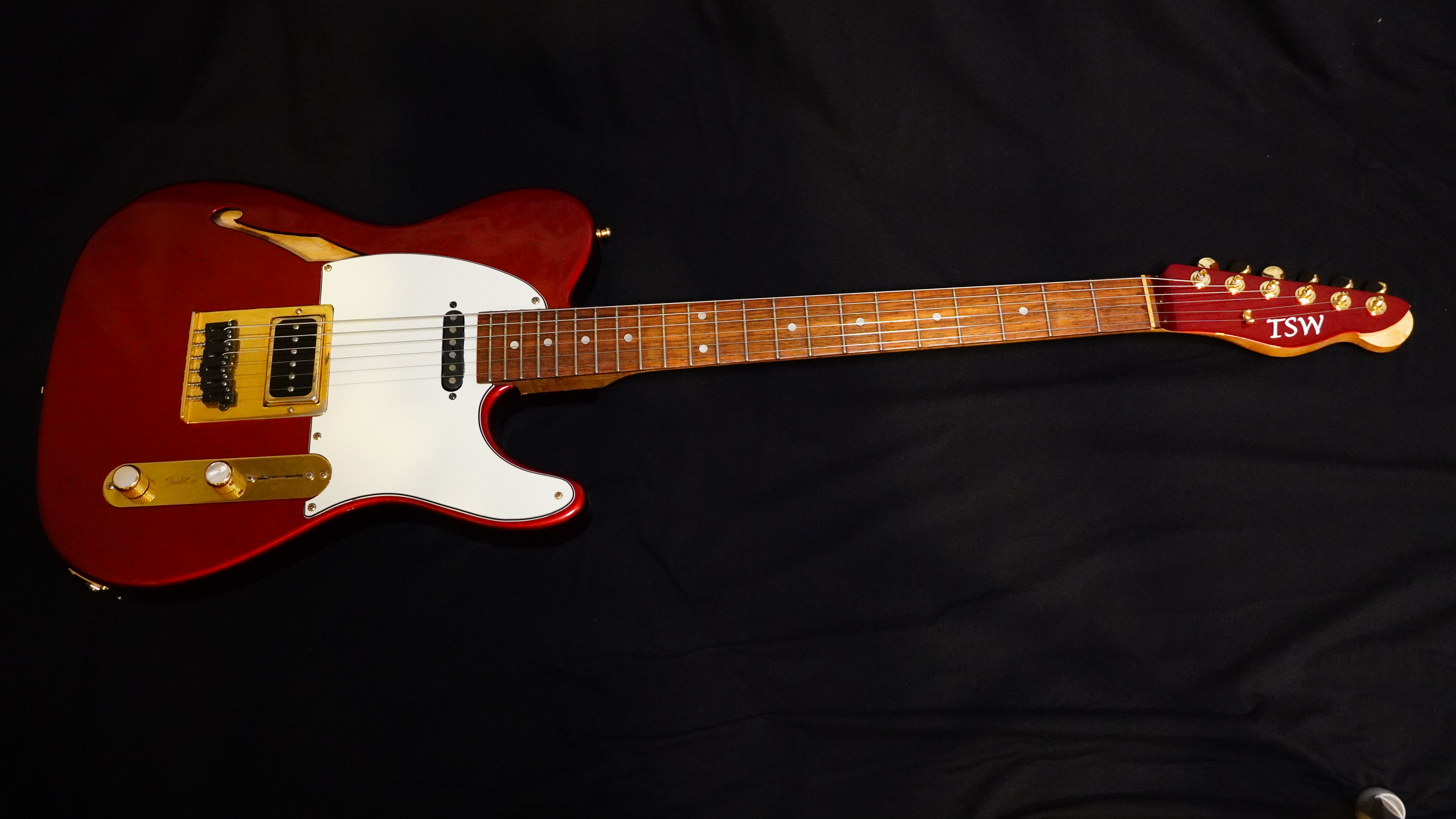 Custom TSW Tele-style electric