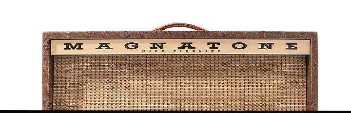 magnatone amps for sale